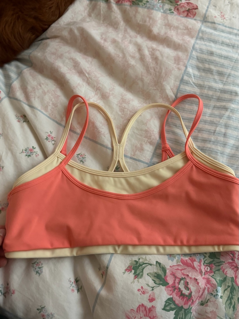 Liaison the Label Sporty Layered Scoop Bra in Guava and Daylight